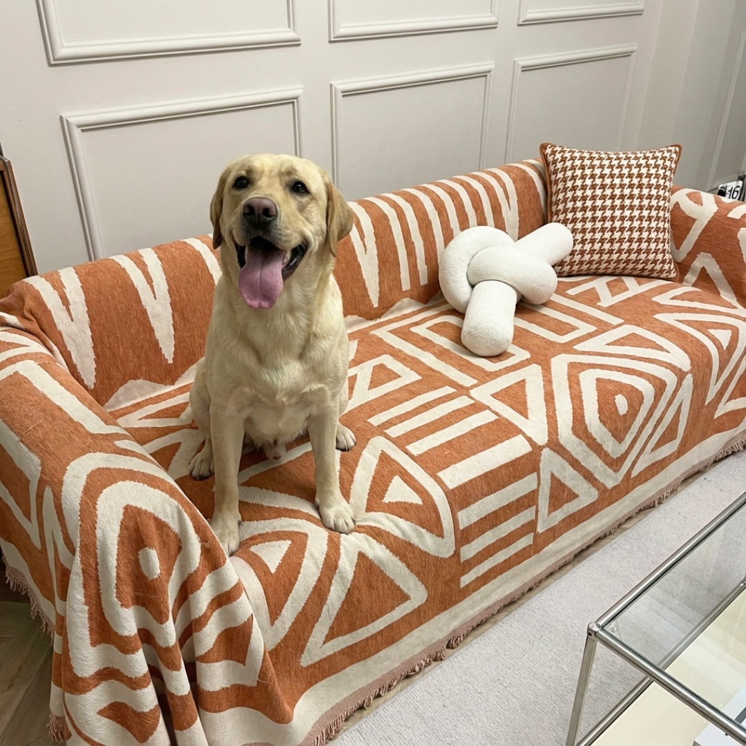 CouchCover™ - Couch Protector